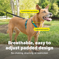 PetSafe 3 in 1 No-Pull Dog Harness - Walk, Train or Travel - Helps Prevent Pets from Pulling on Walks - Seatbelt Loop Do