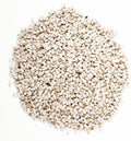 Wagner's 57075 Safflower Seed Wild Bird Food