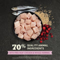 ACANA Dry Cat Food for Kittens First Feast Chicken and Fish 7lb Bag