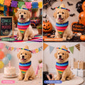 Saintrygo Dog Sombrero Hat Pet Carnival Costume Straw Mexican Hat and Dog Bandana Pet Triangle Bib for Mexican Cowboy Carnival Decorations