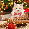 Christmas Cat Collars 2 Pack, Festive Santa & Snowman Bow Tie Collars with Bell and Charm, Adjustable Holiday Cute Xmas 
