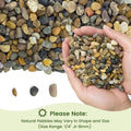 5LB Natural Aquarium Gravel, Small River Rocks for Fish Tank, Garden & Vase Decor - 1/4 Inch Pea Gravel, 4-8mm Polished 
