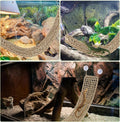 2 Pcs Bearded Dragon Hammock Reptile Lounger, Natural Seagrass Climbing Habitat Decor with Jungle Theme for Lizards, Gec