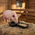 Cididu 2 Pack Rubber Feeder Pan, 10 Quart Large Horse Trough Feeder Bucket, Heavy Duty 2.5 Gallon Chicken Dust Bath Tub 