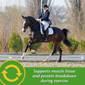 Farnam Vita Plus Balanced Multi-Vitamin & Mineral Horse Supplement, Vitamin Supplements, Provides Balanced Nutrition to 