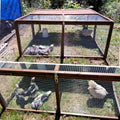 Portable Chicken Run Rabbit Hutch Folding Chicken Cage for Indoor/Outdoor,Top & Side Opening Doors Small Animal Pet Play