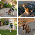 Cat Leash, 15 ft & 30 ft Reflective Long Pet Leash for Outdoor Use