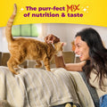Meow Mix Tender Centers, Dry Food, Salmon & Turkey Flavors, 14.2 lb. Bag