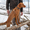 Carhartt Nylon Duck No Pull Dog Harness Carhartt Brown L