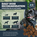 Mighty Paw Calming Chews for Dogs with Melatonin, Waggables, 120 Count