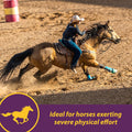 Horse Health Vita E & Selenium Crumbles Vitamin Supplement, Supports Optimal Muscle Health & Antioxidant Support, Seleni