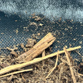 CTWPets Terrarium Mesh & Substrate Barrier, Reptile Liner, 24 x 18 in