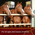 Pro E-5000 Premium Horse Vitamin E Powder, Antioxidant Support with Yeast & Alfalfa for Palatability, Equine Vitamin E S