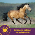 Horse Health Vita E & Selenium Crumbles Vitamin Supplement, Supports Optimal Muscle Health & Antioxidant Support, Seleni