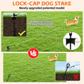 Snagle Paw Dog Tie Out Stake with Lock-Cap