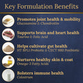 Multivitamins, Balanced Nutrition for Dachshund, 90 Count, Made in the USA with Real Bacon