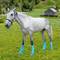 Horse Fly Boots, Mesh Fly Boots for Horse Set of 4, Equine Leg Protection