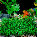 SLSON Aquarium Decorations Grass Artificial Plastic Lawn 9 inches Square Landscape Green Plants for Saltwater Freshwater