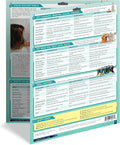 Cleaning & Stain Guide – Pet Odor Removal DIY Cleaner Recipes & Tips Set