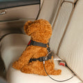 Mogoko Pet Dog Car Seat Belt Restraint, Coated Stainless Steel Chew Proof Dog Vehicle Safety Tether Cable, Double Clip N