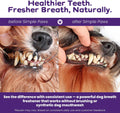 Dog Dental Powder for Teeth Cleaning - Dental Powder for Dogs Teeth