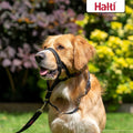 Halti Headcollar (Size 4, Black) & Training Leash (Size L, Black) Bundle
