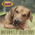 Cadet Gourmet Pork Roll Twists Dog Chews, 5 Count, 10"