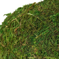 USMOLA Mossy Caves, Artificial Green Moss Caves Hide for Pet Reptile Frogs and Snakes, Terrarium & Vivarium Decor, Crest