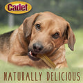 Cadet Premium Grade Pressed Beef Hide Bones, Long Lasting Rawhide Dog Chews, 6.5 Inch (12 Count)
