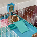 MidWest Homes for Pets Guinea Habitat Cage, Washable PVC Canvas Bottom, Secure Sides, Tool-Free Setup, Expandable Small 