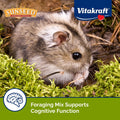 Sunseed Vitakraft Vita Prima Dwarf Hamster Food 2 lb Bag with Fruits Vegetables Grains and Seeds Providing Wholesome Dai