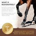 Equithrive Resveratrol Plus Joint Pellets for Horses, 1.65 lbs