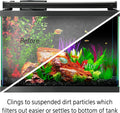 Aqueon Freshwater Aquarium Water Clarifier, Clears Cloudy Fish Tank Water, Safe to Use with Fish and Plants - 16 Ounces