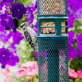 Squirrel Buster Nut Truly Squirrel-Proof Bird Feeder