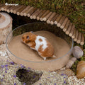 Niteangel Hamster Desert Bath Sand: 2.5lb/40oz No-Dust Bath & Easy to Clump