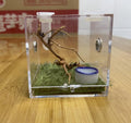 AWXZOM Spider Terrarium, Acrylic Reptile Breeding Box Jumping Spider Enclosure with Dropper Tongs Snail cage, Cricket En
