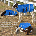 Dunzy 4 Pcs Calf Blanket Calf Coat Jacket Foal Blanket Warming Waterproof Windproof Saver Livestock for Cows Goats