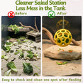 Homedy Crafts Bearded Dragon Climbing Bridge with Veggie Feeder Ball – Bendable Vine Enrichment Route for Large Tanks, Greens Intro Kit, Reptile/Lizard Tank Accessories (Salad Feeder Ball)