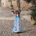 Dog Surgery Recovery Suit for Small Dogs, Four-Leg Long Sleeve