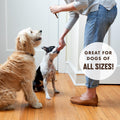 Rocco & Roxie No More Marking Bundle