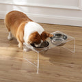 THE LICKER Store DBL2001A Keaton 7.5" Medium/Large Modern Lucite Rectangular Elevated Pet Feeder with 54oz 2-Stainless Steel Bowls, Clear/Chrome