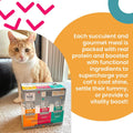 I AND LOVE AND YOU Feed Meow Tummy Wet Cat Food, Tuna & Pumpkin | 12 Pk