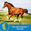 Farnam Fluidflex Glucosamine Joint Supplement for Horses, 32 oz., 32 Day Supply