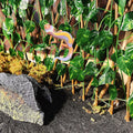 Reptile Hermit Crab Climbing Wall Toy Bearded Dragon Climb Tank Accessories