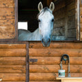COAT DEFENSE Trouble Spot Drying Paste for Horses - Natural Equine Wound Care That Provides Safe & Effective Relief from