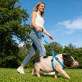 Mini Pig Harness, Adjustable Small Pig Harness with Leash Infinity Style Lead and Soft Foam Handle for Small to Medium P