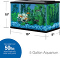 Tetra 5.5 Gallon Glass Aquarium, Rectangular Fish Tank