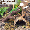 Layhit 5 Pcs Snake Climbing Branch Ring Reptile Wood Trunk Tank Decor Reptile Climbing Habitat Accessory for Terrarium T