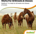 SeaBuck 7 Equine Sea Buckthorn Supplement for Horses, 1 Gallon