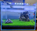 3 Bags Aquarium Plant S.e.e.d set, not aritifical plastic, Fresh Water Grass for Fish Tank zmml4